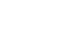 Site Logo white